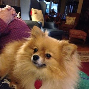 Meet your Posher, Rae